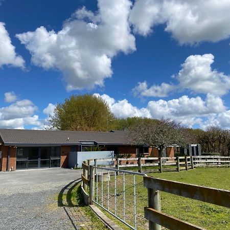 Bed and Breakfast Unique Equestrian Lifestyle Tamahere Экстерьер фото