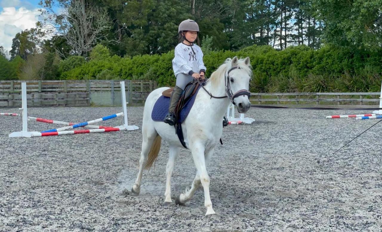 Bed and Breakfast Unique Equestrian Lifestyle Tamahere Экстерьер фото