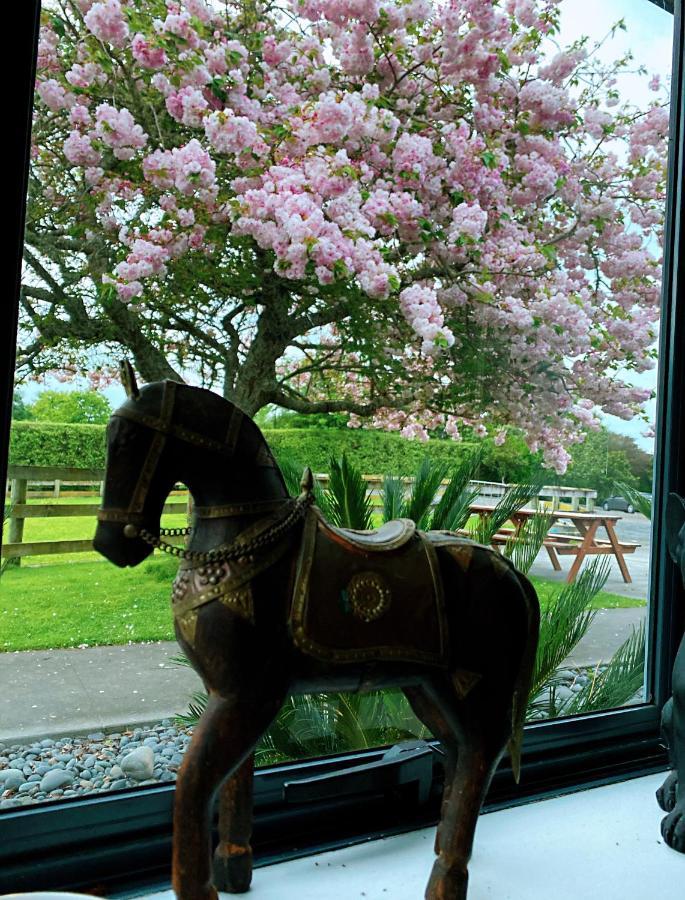Bed and Breakfast Unique Equestrian Lifestyle Tamahere Экстерьер фото