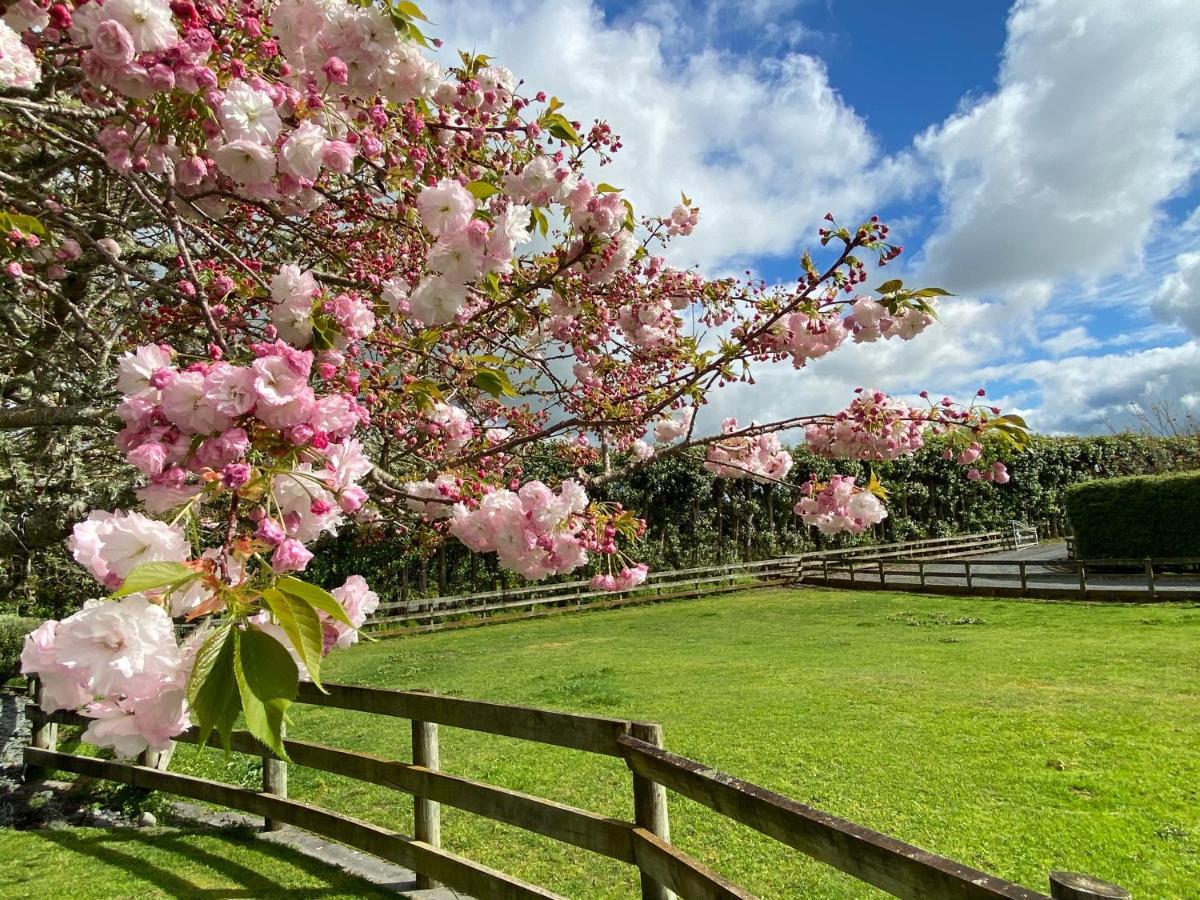 Bed and Breakfast Unique Equestrian Lifestyle Tamahere Экстерьер фото