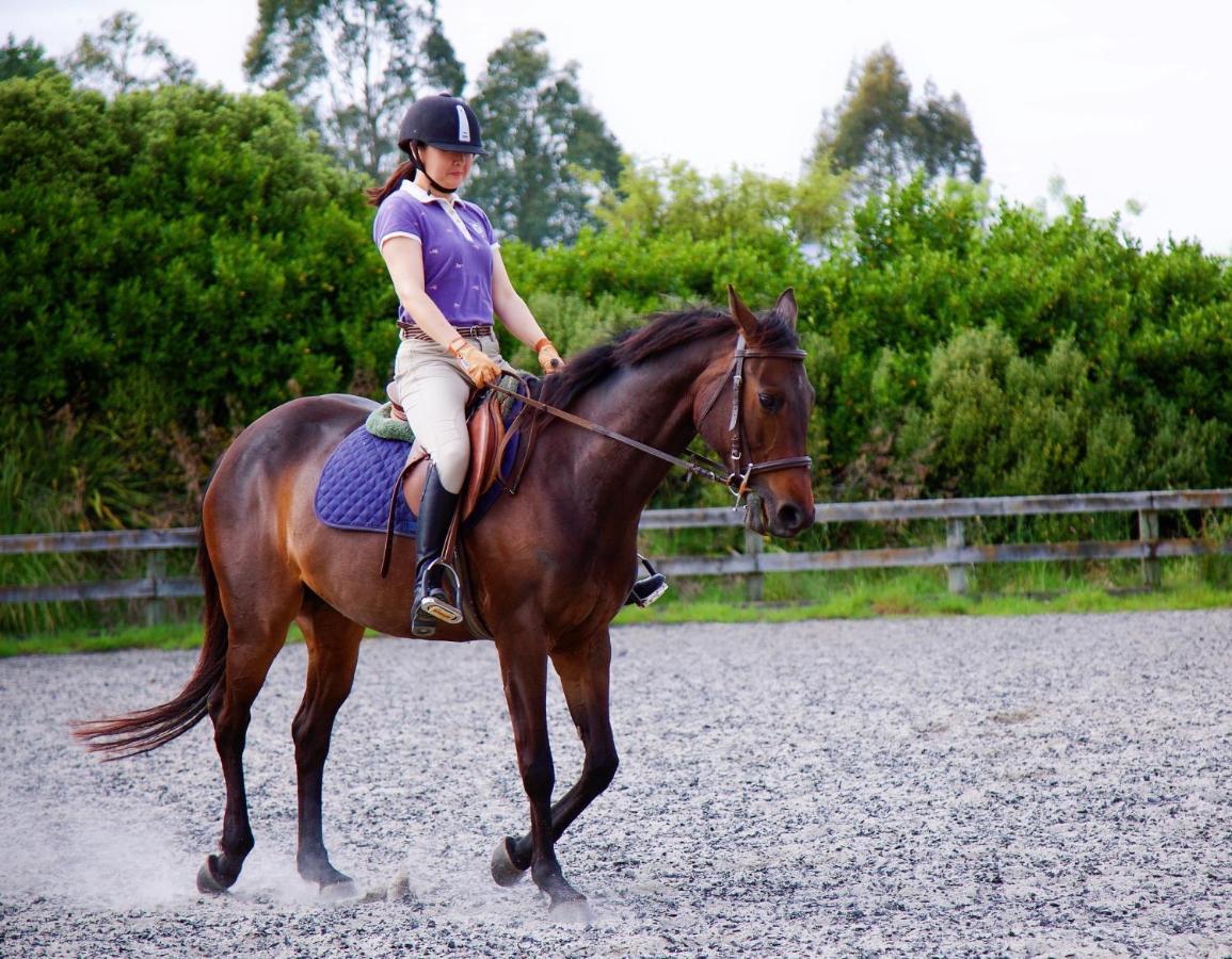 Bed and Breakfast Unique Equestrian Lifestyle Tamahere Экстерьер фото