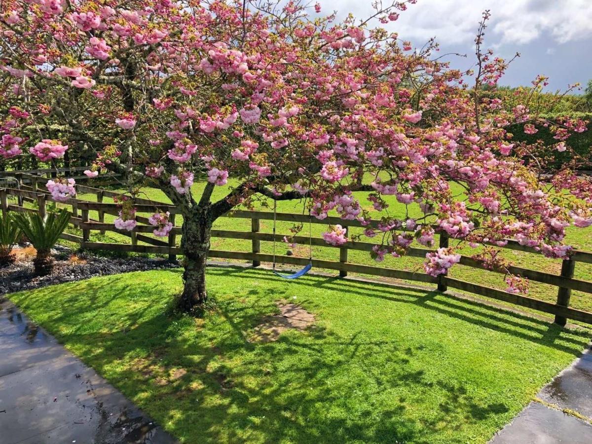 Bed and Breakfast Unique Equestrian Lifestyle Tamahere Экстерьер фото