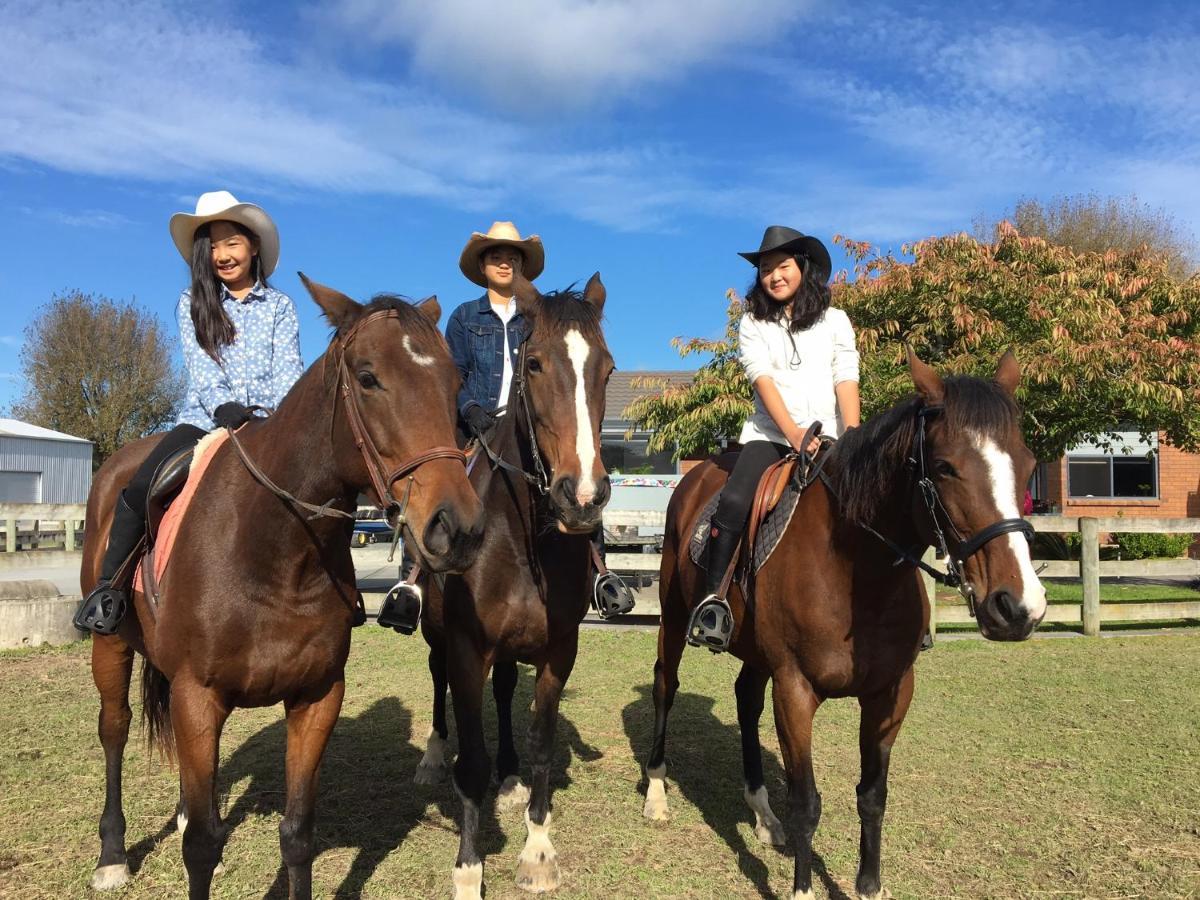 Bed and Breakfast Unique Equestrian Lifestyle Tamahere Экстерьер фото