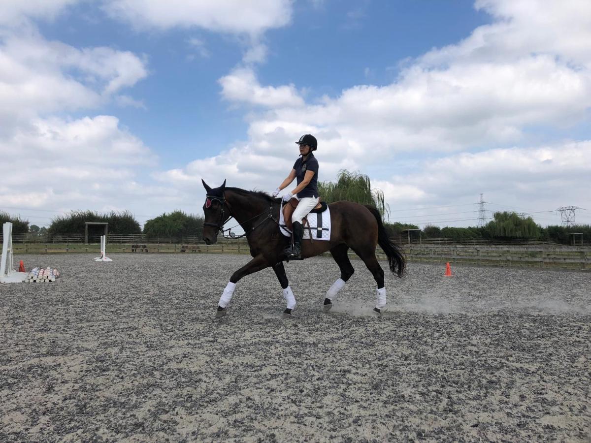 Bed and Breakfast Unique Equestrian Lifestyle Tamahere Экстерьер фото