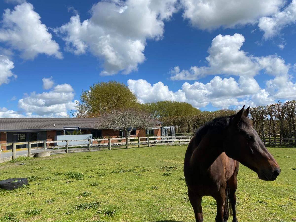 Bed and Breakfast Unique Equestrian Lifestyle Tamahere Экстерьер фото