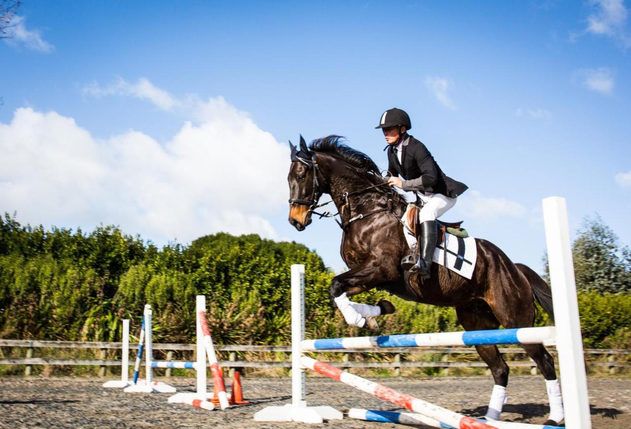 Bed and Breakfast Unique Equestrian Lifestyle Tamahere Экстерьер фото