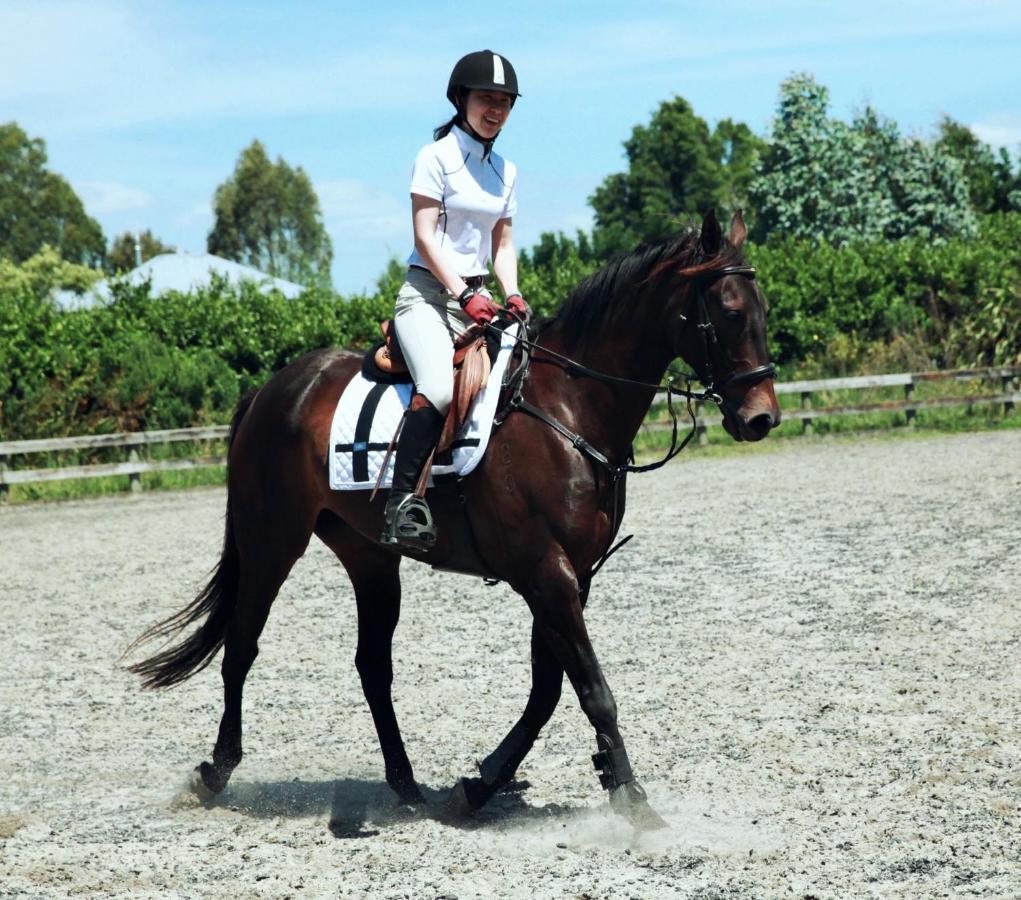 Bed and Breakfast Unique Equestrian Lifestyle Tamahere Экстерьер фото