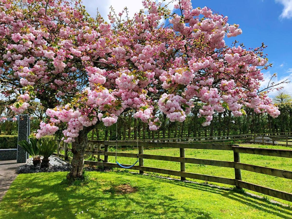 Bed and Breakfast Unique Equestrian Lifestyle Tamahere Экстерьер фото