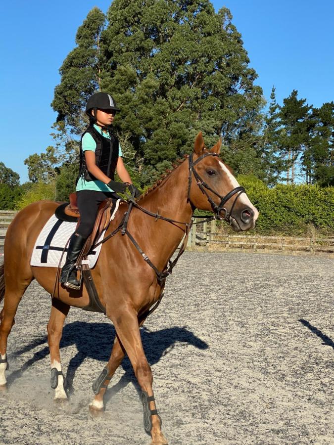 Bed and Breakfast Unique Equestrian Lifestyle Tamahere Экстерьер фото